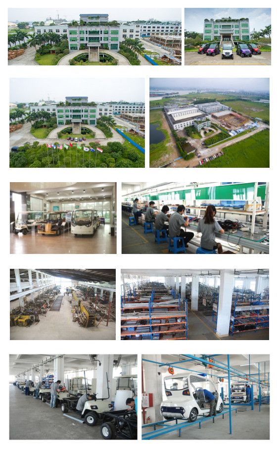 2 Seater Battery Power Electric Sightseeing Car Ce Approved