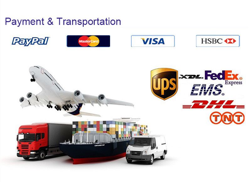 2 Seater Battery Power Electric Sightseeing Car Ce Approved