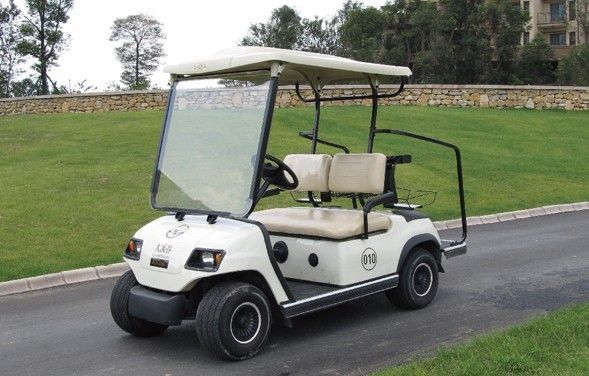 2 Seater Battery Power Electric Sightseeing Car Ce Approved