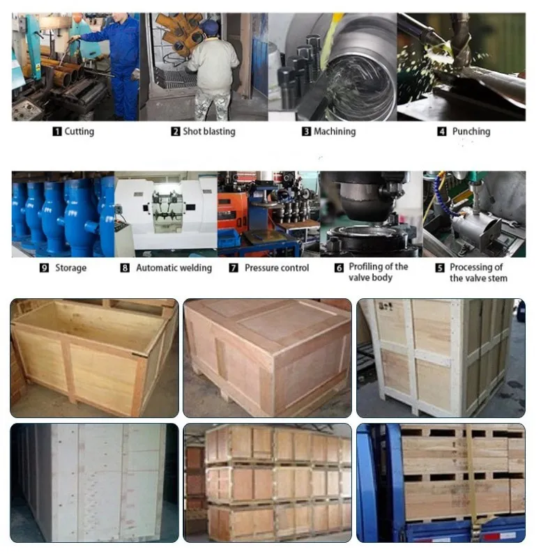 API Stainless Steel 316 Manual Fluorine Lining Gate Valve