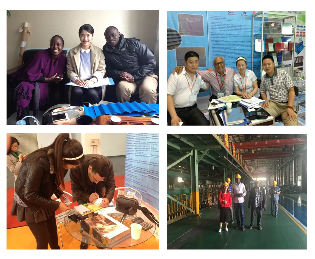 Building Material High Carbon SAE 1065 Cold Rolled Steel Strip