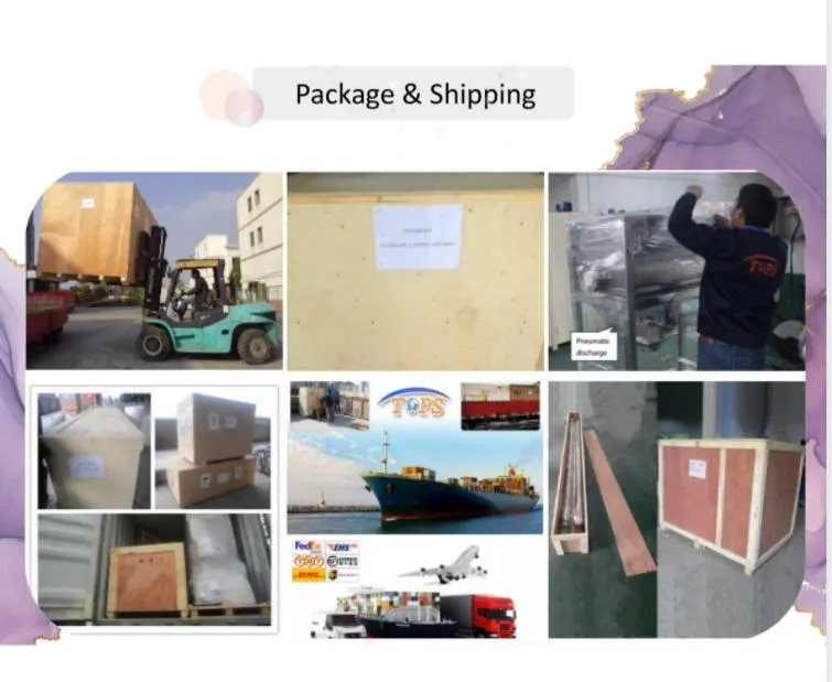 Chemicals Powder Packing Filling Labeling Capping Single Shaft Paddle Ribbon Mixing Machine