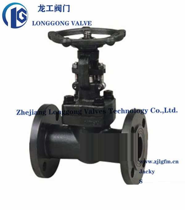 Class 800-2500 Forged Steel Lift Type Check Valve A105/F11/F304/F321 NPT/Bsp/Sw