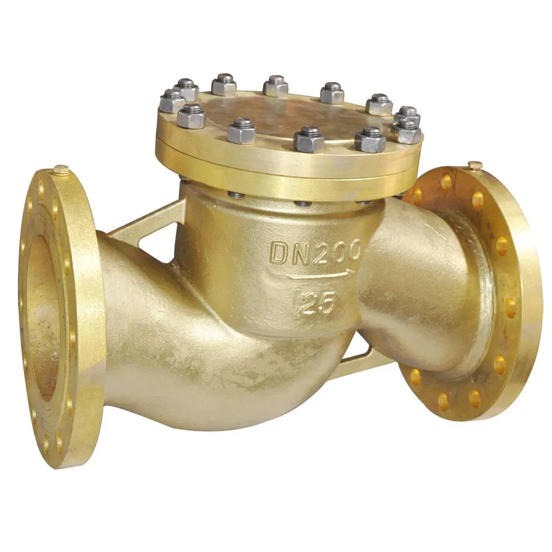 Dn50 to Dn600 Flange Connection Lifting Check Valve