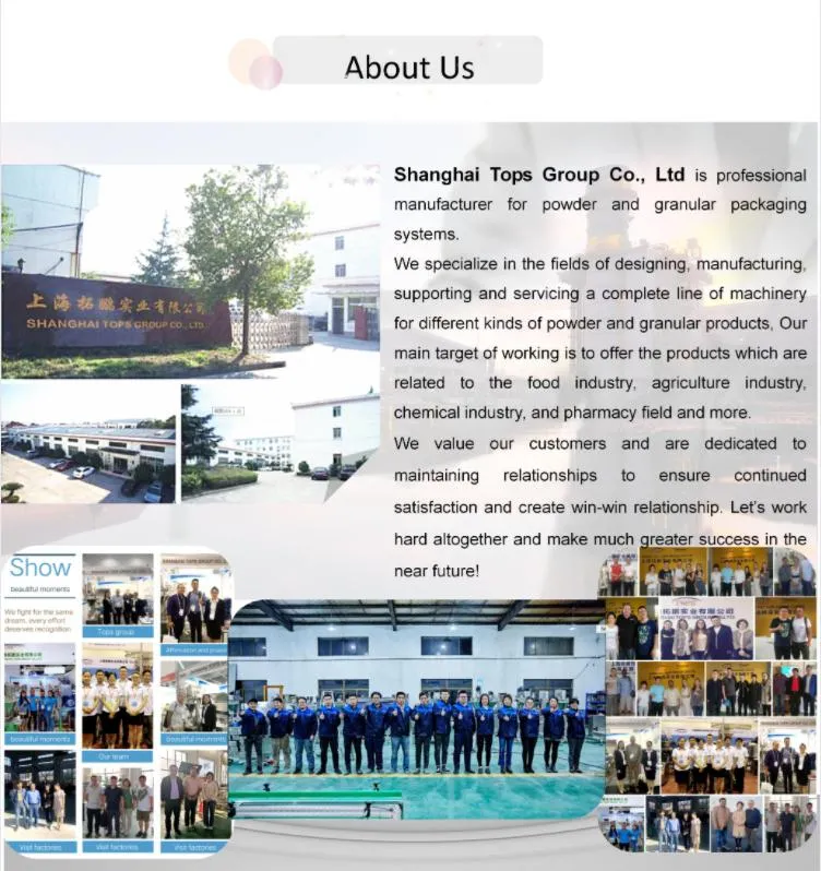 High Speed Horizontal Double Ribbon Blender Machine for Powder/ Granule