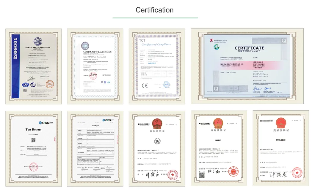 OEM Fuel Supply System Filter for Cat 1r-0770 Bf1284sp Fs19820 326-1644