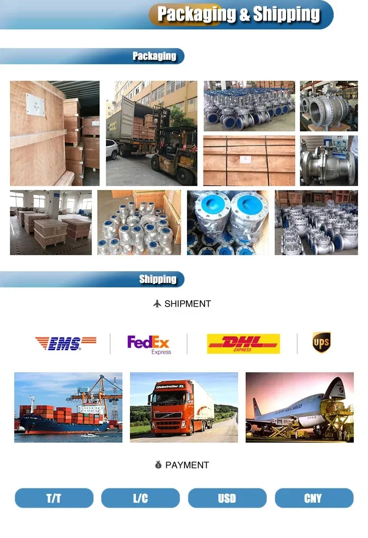 Super Duplex Stainless Steel Gate Valves