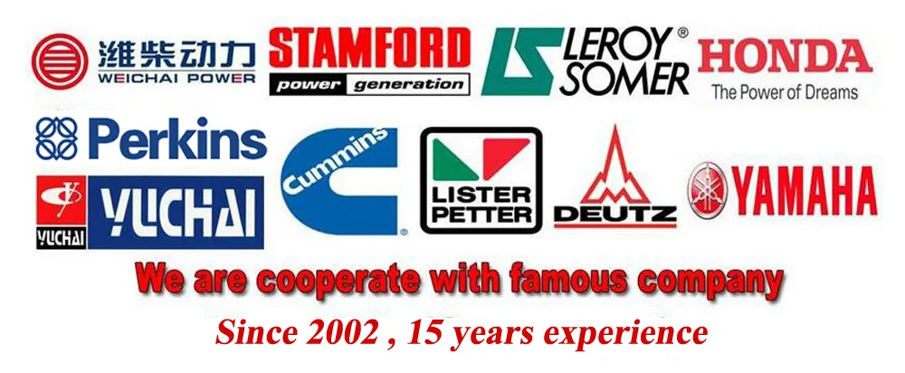 Water Cooling 250kVA Soundproof 4 Stroke Diesel Electirc Generators